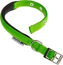 Фото Ferplast Классический Daytona C20/43 35-43 см / 20 мм green (75246923)