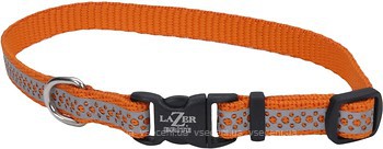 Фото Coastal Класичний Lazer 20-30 см / 16 мм orange abstract rings (46331_OAR12)