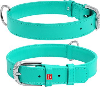 Фото Collar Класичний Waudog Glamour 30-39 см / 20 мм бірюзовий (329313)