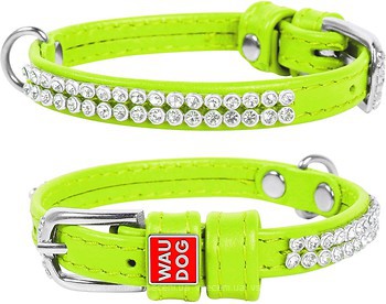 Фото Collar Класичний Waudog Glamour 18-21 см / 9 мм салатовий (33065)