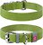 Фото Collar Классический Waudog Classic 46-60 см / 35 мм салатовый (02395)