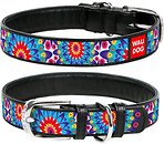 Фото Collar Класичний Waudog Design 30-39 см / 20 мм чорний (37871)