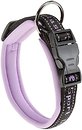 Фото Ferplast Классический Sport C20/43 33-43 см / 20 мм lilac (78003919)