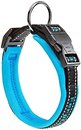 Фото Ferplast Классический Sport C20/43 33-43 см / 20 мм blue (78003925)