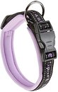 Фото Ferplast Классический Sport C25/45 35-45 см / 25 мм lilac (78004019)