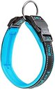 Фото Ferplast Классический Sport C25/55 45-55 см / 25 мм blue (78004125)