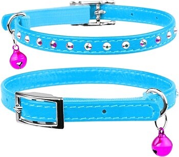 Фото Collar Класичний Waudog Glamour 22-30 см / 9 мм блакитний (32542)