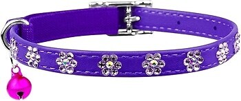 Фото Collar Классический Waudog Glamour 22-30 см / 9 мм фиолетовый (32559)