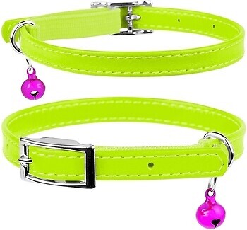 Фото Collar Классический Waudog Glamour 22-30 см / 9 мм салатовый (32485)