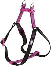 Фото Ferplast Шлея Easy P Colours S 35 см / 53 см / 10 мм purple/black (75560902)