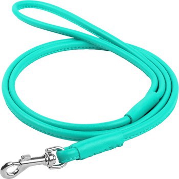 Фото Collar Повідок класичний Waudog Glamour 1.83 м / 10 мм м'ятний (344013)