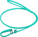 Фото Collar Повідок-ринговка Waudog Glamour 1.83 м / 4 мм м'ятний (344413)