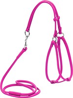 Фото Collar Шлея с поводком Waudog Glamour 26-46 см / 30-50 см / 6 мм розовый (34017)