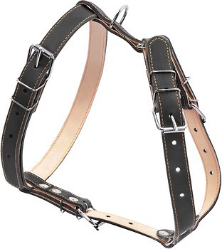 Фото Collar Шлея 40-64 см / 69-81 см / 25 мм чорний (06421)