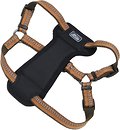 Фото Coastal Шлея K9 Explorer 30-45 см / 16 мм campfire orange (36445_COG18)