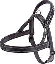 Фото Ferplast Шлея Sport Dog L 65 см / 77-89 см grey (78004821)