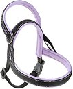 Фото Ferplast Шлея Sport Dog S 48 см / 58-71 см lillac (78004619)