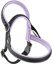 Фото Ferplast Шлея Sport Dog M 58 см / 69-86 см lillac (78004719)