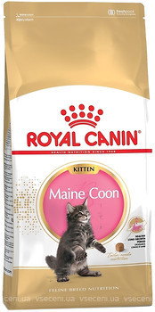 Фото Royal Canin Maine Coon Kitten 2 кг