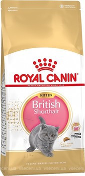 Фото Royal Canin Kitten British Shorthair 10 кг