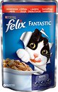 Фото Felix Fantastic с говядиной 100 г
