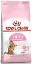 Фото Royal Canin Kitten Sterilised 3.5 кг