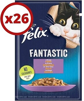 Фото Felix Fantastic з ягням 26x85 г