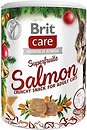 Фото Brit Care Cat Superfruits Salmon 100 г