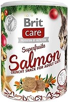 Фото Brit Care Cat Superfruits Salmon 100 г