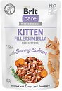 Фото Brit Kitten Fillets in Jelly Savory Salmon 24x85 г