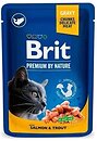 Фото Brit Premium Cat Pouches Salmon & Trout 12x100 г