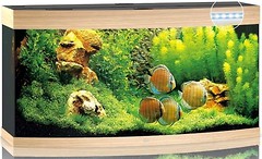 Фото Juwel Vision 260 LED дуб