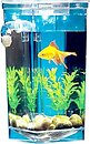 Фото As Seen On TV My Fun Fish