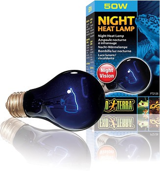 Фото Exo Terra Night Heat Lamp / Night Glo A19/50 Вт (PT2126)