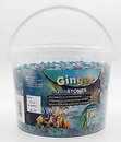 Фото Ginger Pro №25 річка 2.5 кг 5-10 мм (відро)